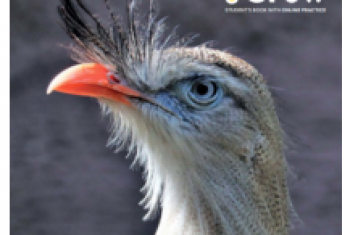 Programa Bilíngue 2026 - iGrow 1 - 1º ano E.F